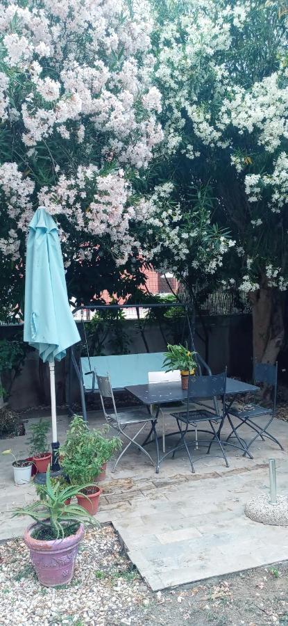 Gli Oleandri Villa Livorno Luaran gambar